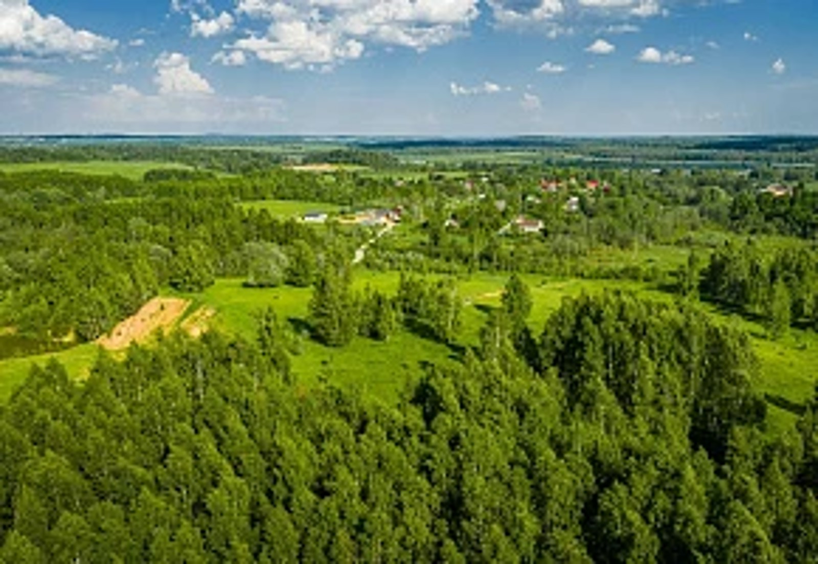 5fk80yp071rzqn6xcorhney281vbc1bn.jpg.webp